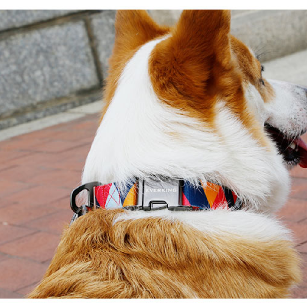 Collar Rojo Geométrico Lava