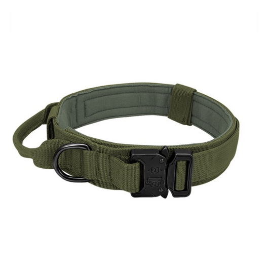 Collar Verde Táctico Militar Amazonas