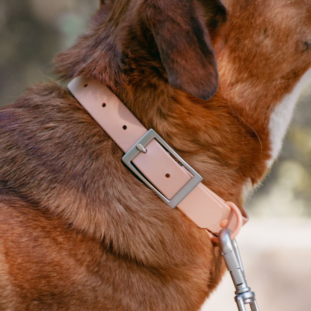 Collar Rosado Singular Atacama