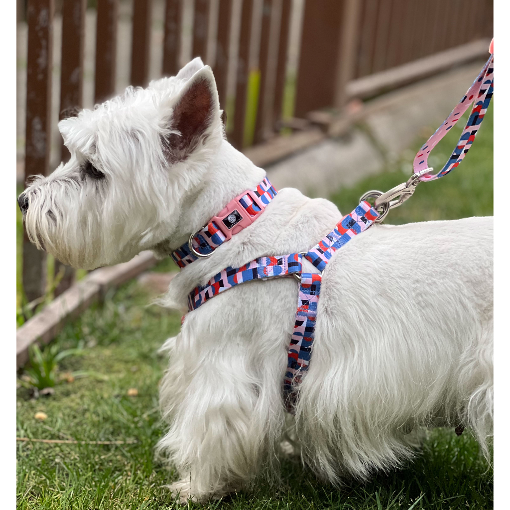 Collar Rosado Colorful Arrebol