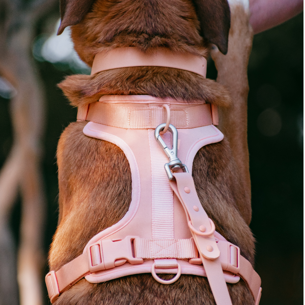 Collar Rosado Singular Atacama