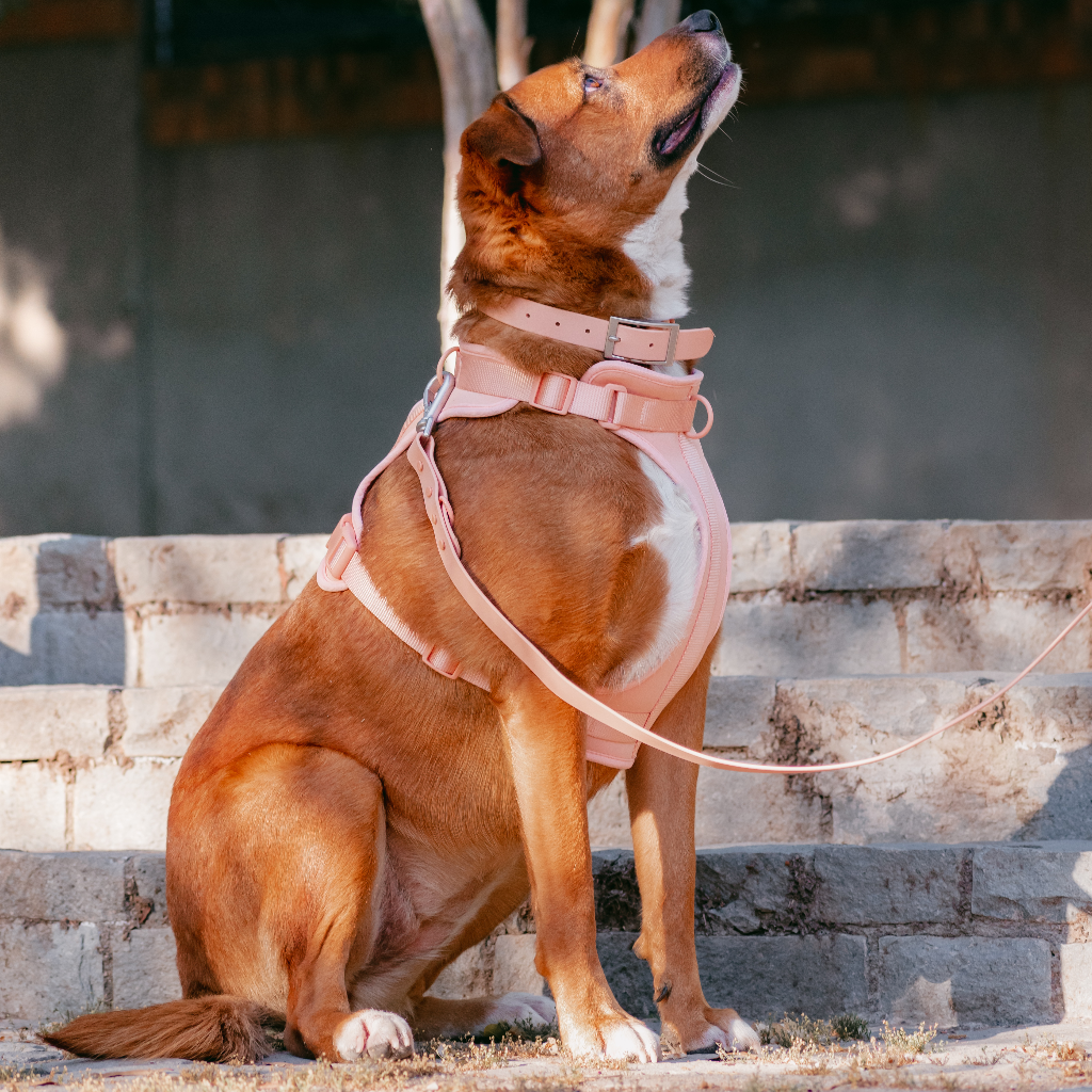 Collar Rosado Singular Atacama