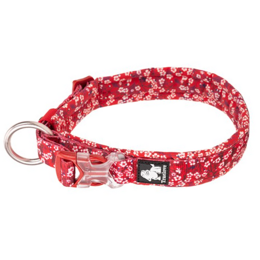 Collar Rojo Summer